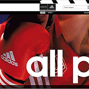 Adidas eCommerce: six year of support